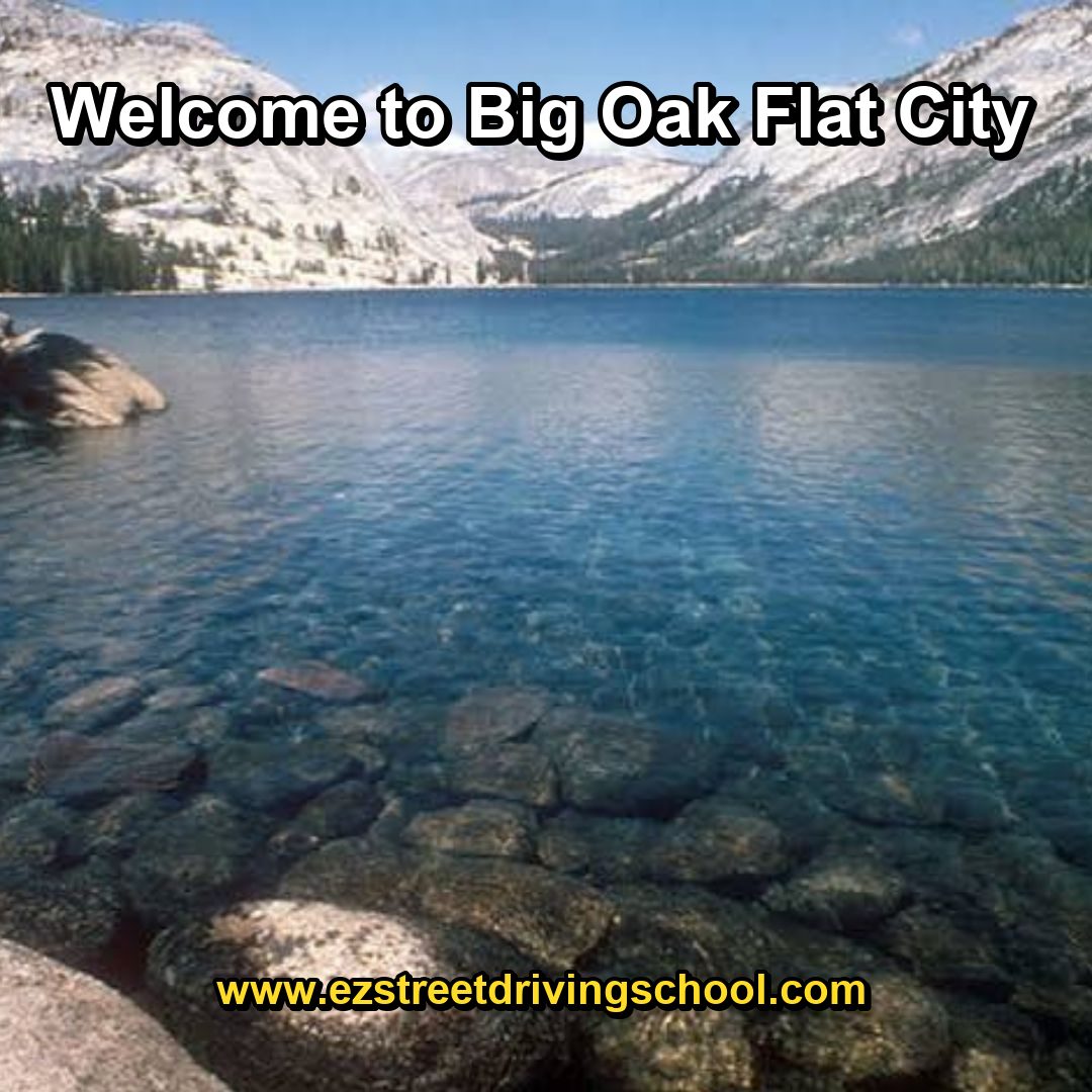 Driving Lessons in Big Oak Flat